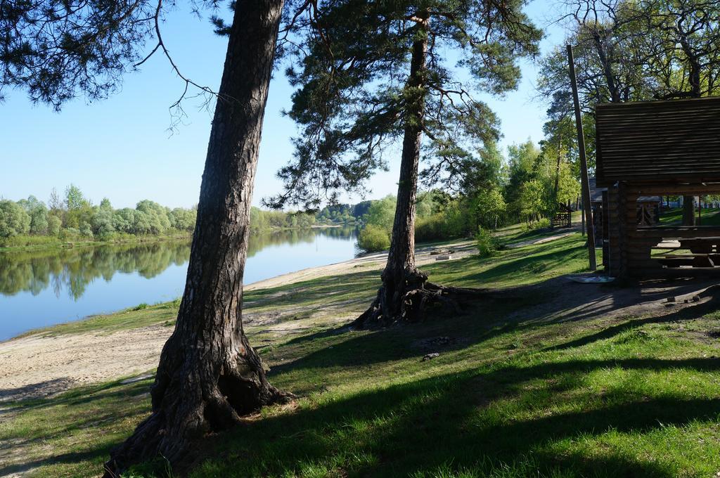 Belaya Dacha Apartment Homel Zewnętrze zdjęcie