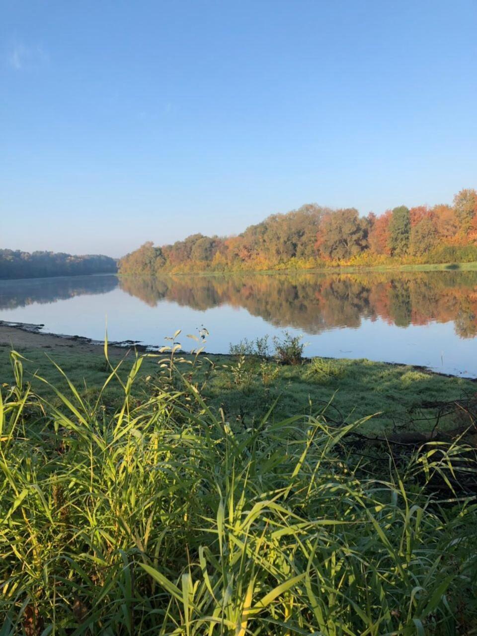 Belaya Dacha Apartment Homel Zewnętrze zdjęcie